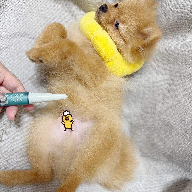 女人知己試用大隊,口碑行銷,部落客行銷,Goodmofamily歸毛家族 寵物肌膚救星組,歸毛家族 寵物肌膚救星,舒敏保濕洗毛乳,護膚噴液,精萃營養霜,博士30年生技專業,給足皮膚營養保護力,無抗生素 無類固醇,神經醯胺,19種綜合胺基酸,榮獲SNQ國家認證,上萬毛爸媽見證,3週幫助皮膚健康,NO.1寵物肌膚口碑霸主,寵物第一護膚領導品牌